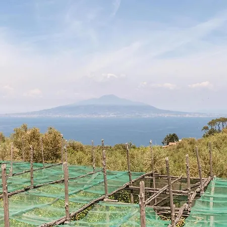 Hébergement de vacances La Limonaia *